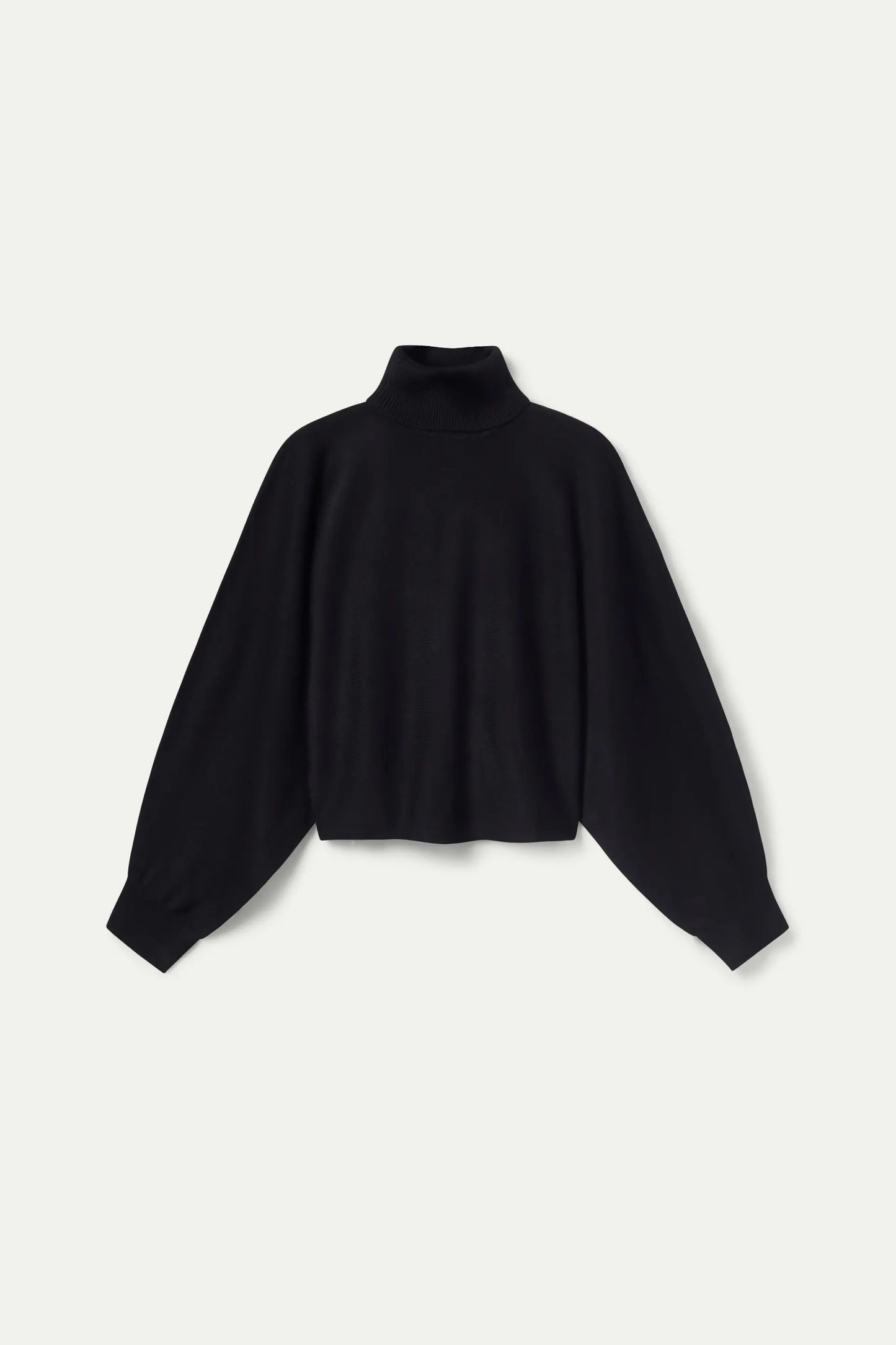 Black Roll Neck Knitted Sweater