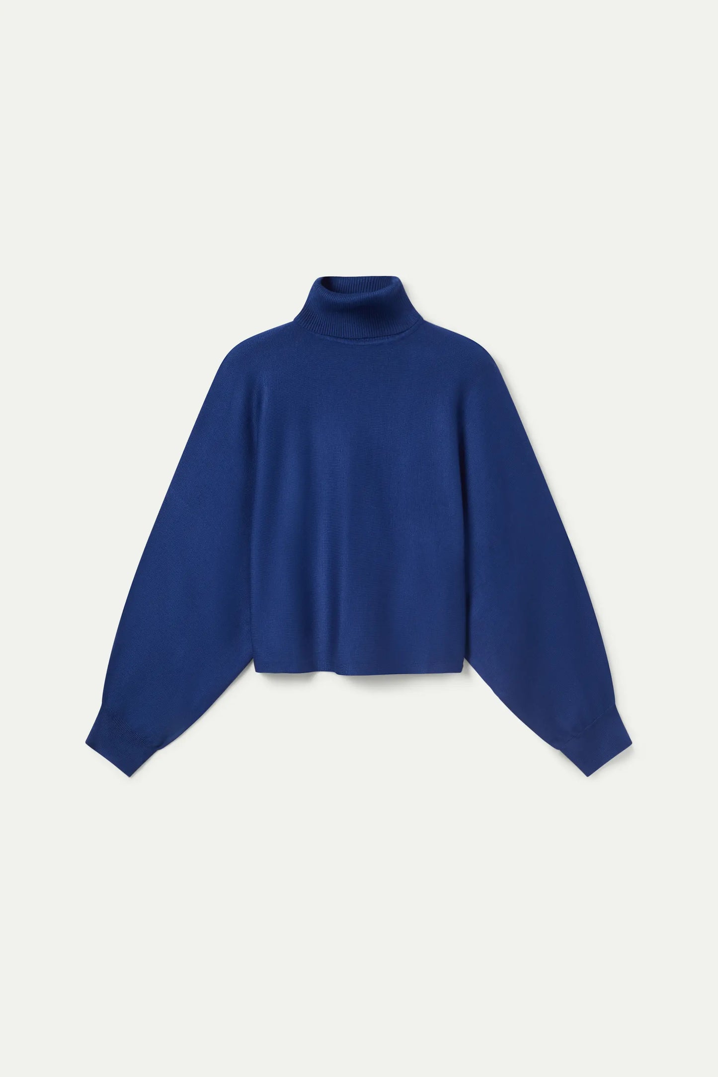 Blue Roll Neck Knitted Sweater