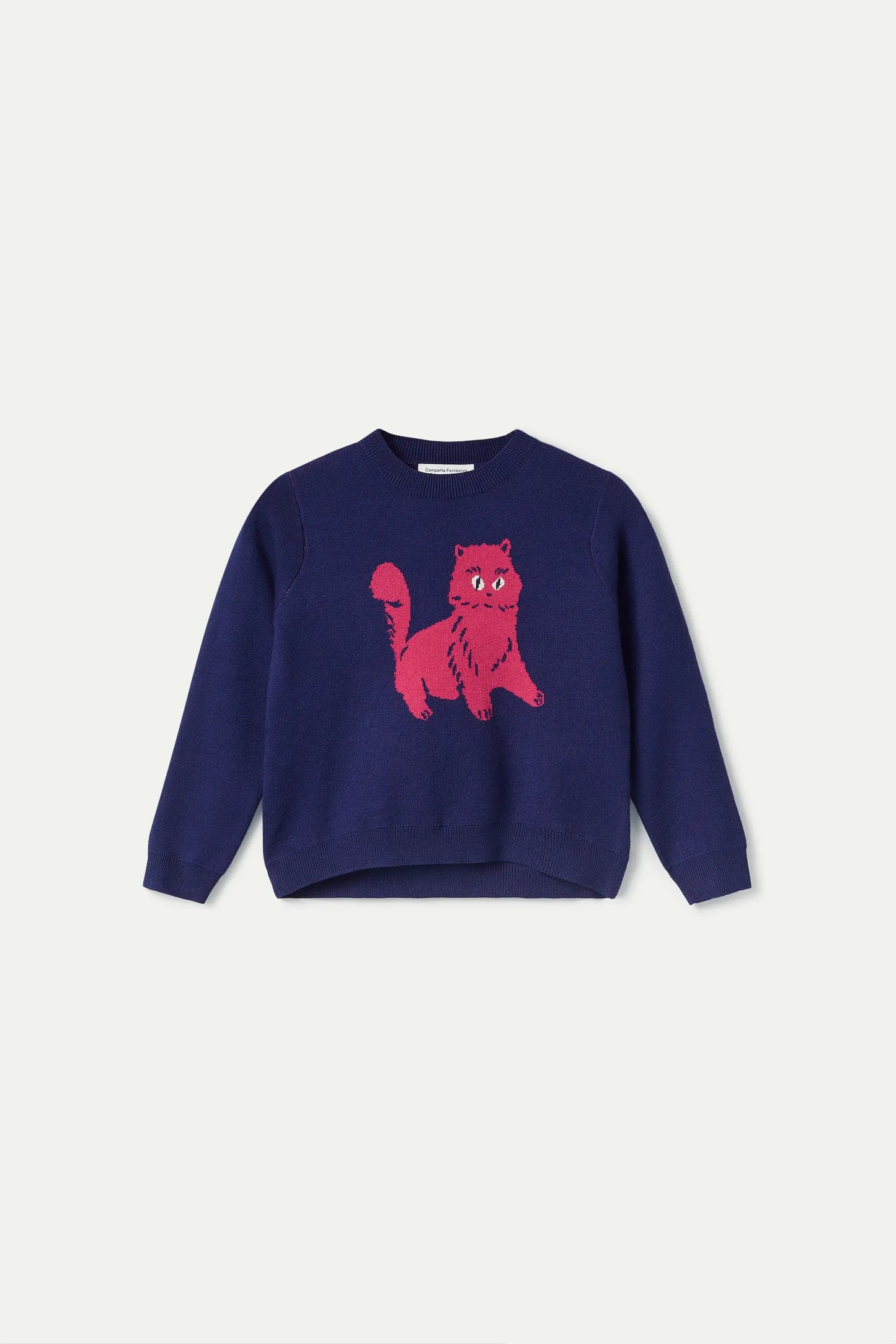 Girl's sweater with cat print