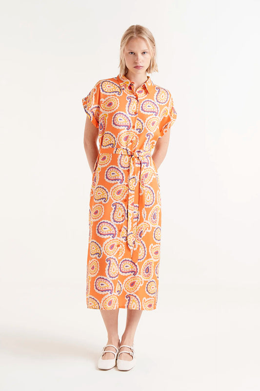 Ameba print midi shirt dress