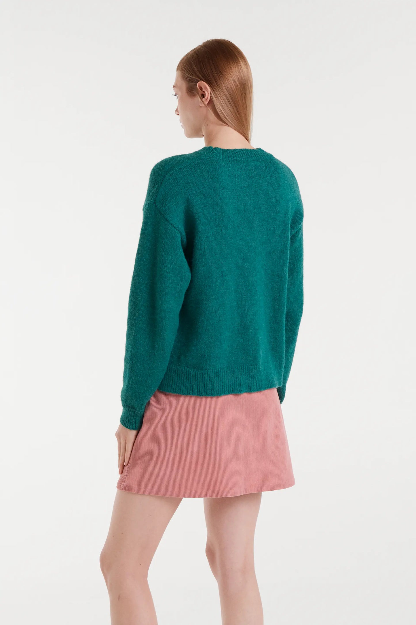 Maglione in maglia jacquard con stampa di cane schnauzer