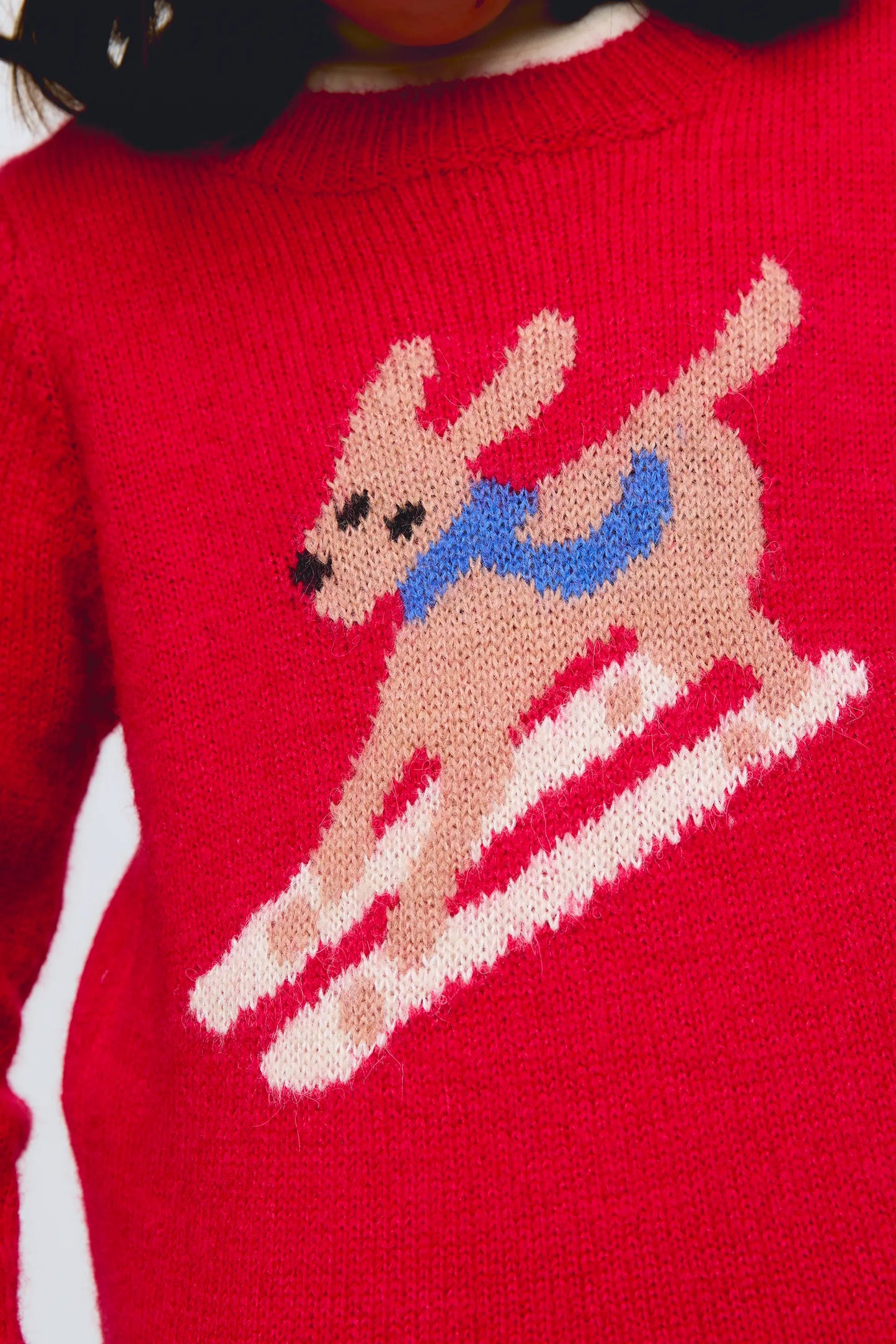 Red knitted sweater with a skiing dog design.