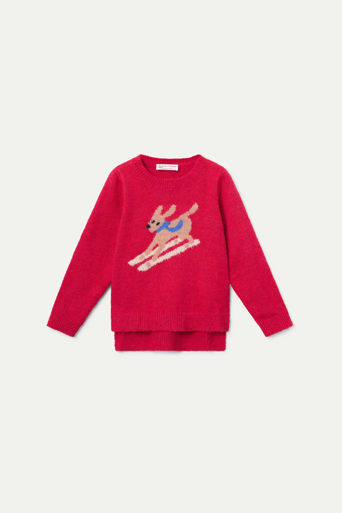 Red knitted sweater with a skiing dog design.