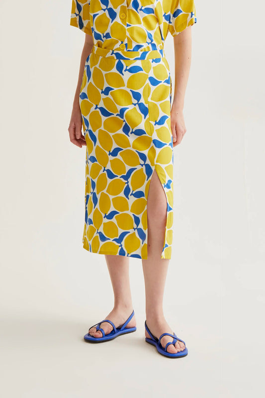 Limoncello Print Midi Dress - Fantastic Company Compaa Fantstica Limoncello Print Midi Dress - Fantastic Company Compaa Fantstica