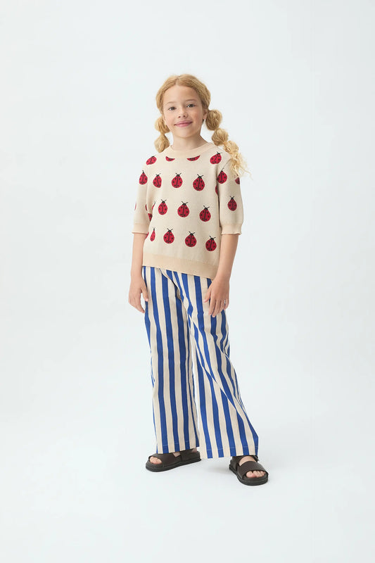 Maglione lavorato a maglia da bambina con stampa Coccinella Rossa