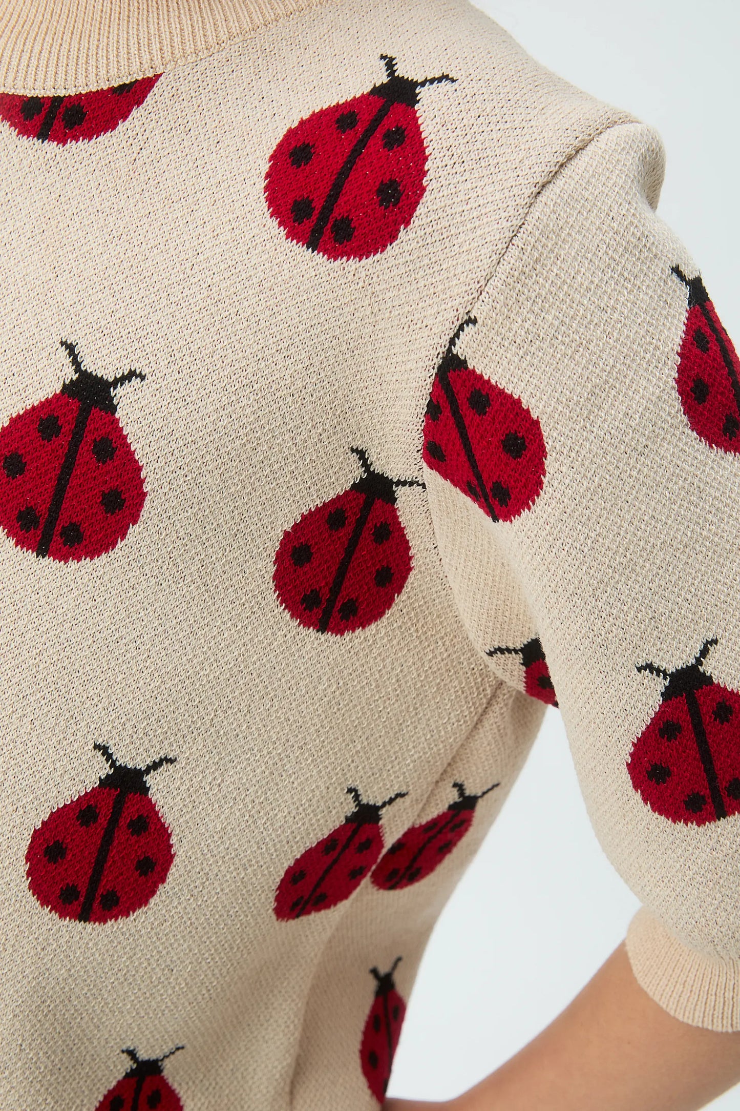 Girl's knitted sweater with Red Ladybug print