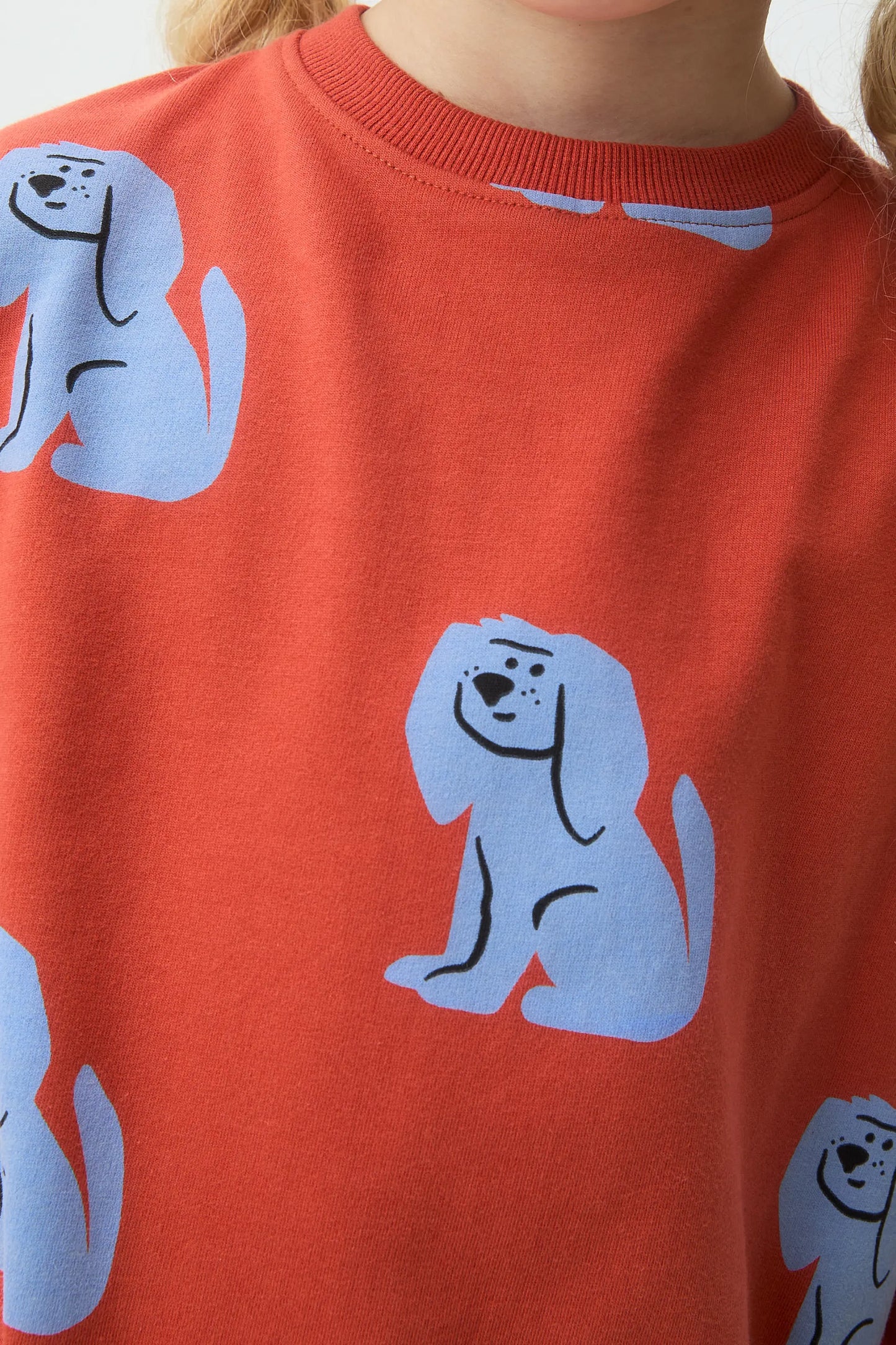Girl's sweatshirt with puppy print