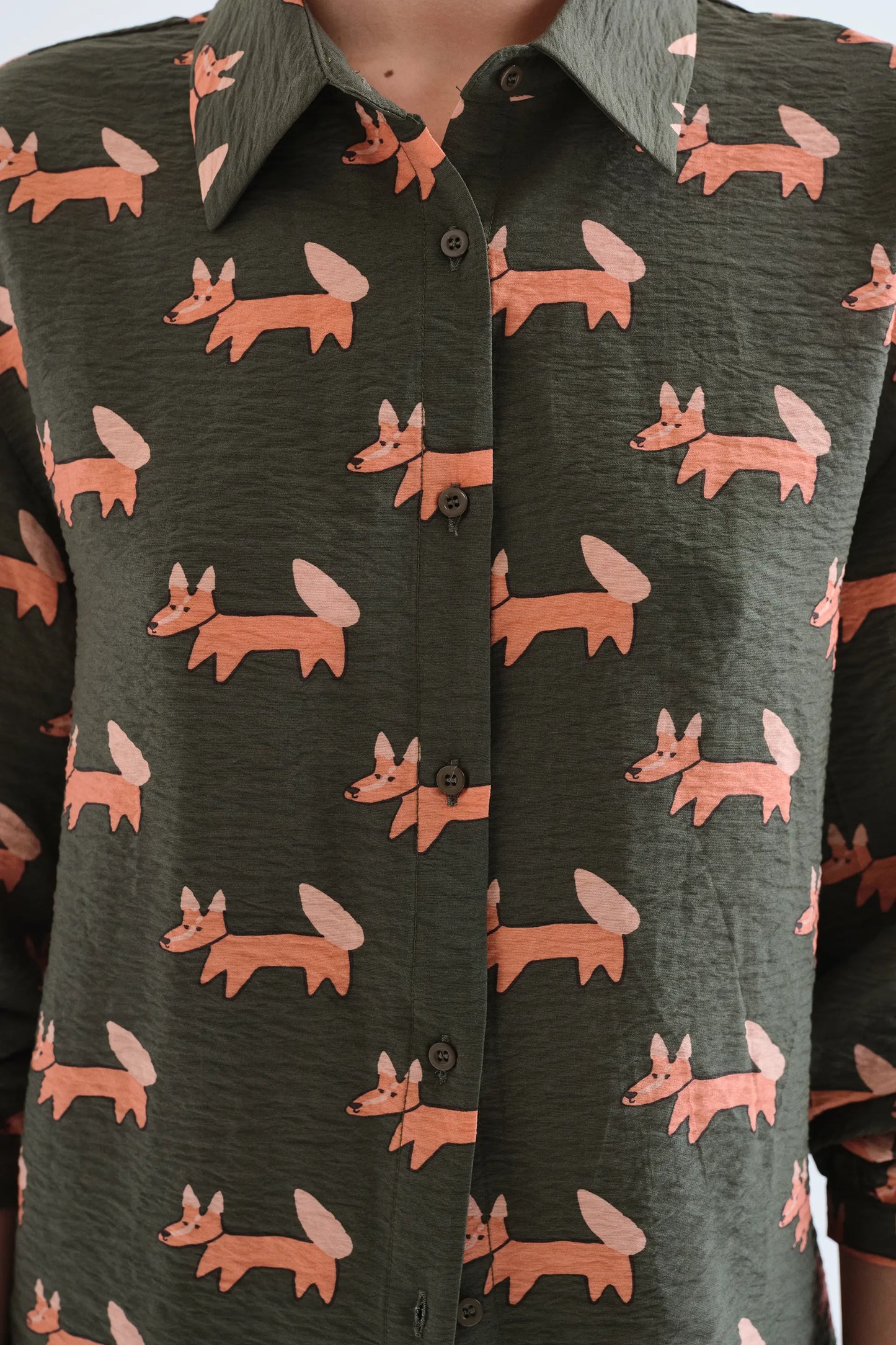 Camicia
